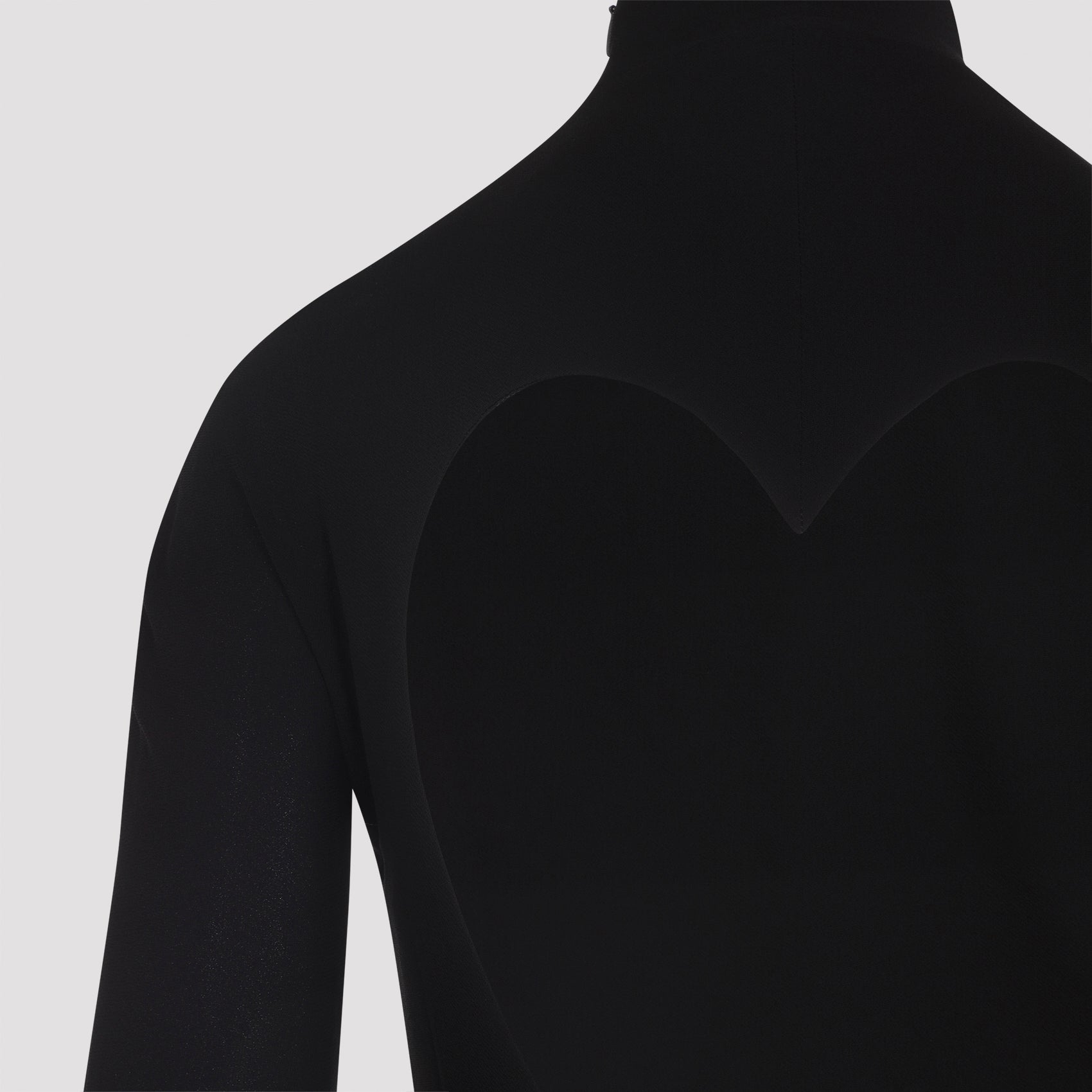 Heart Body