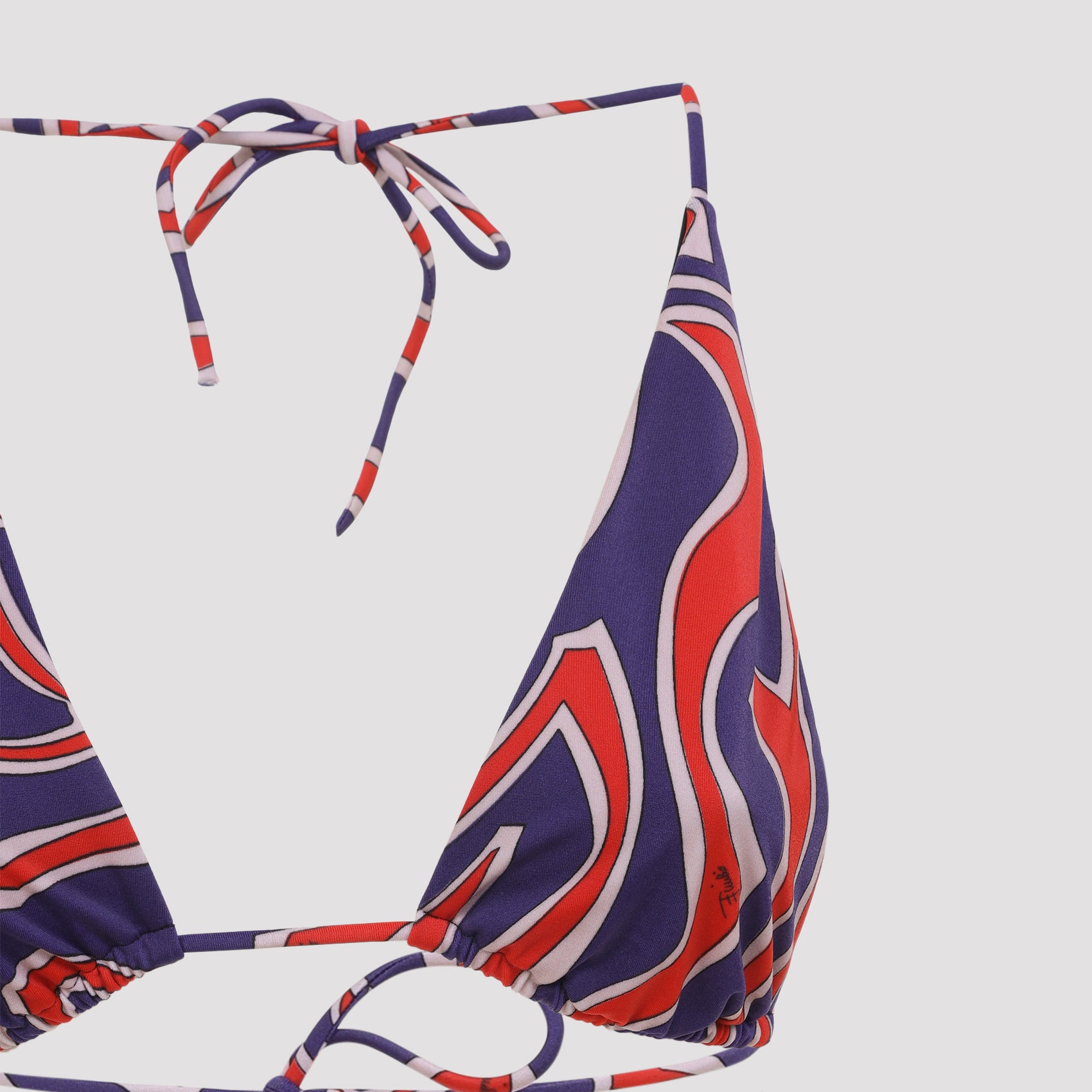 Polyamide Bra Bikini