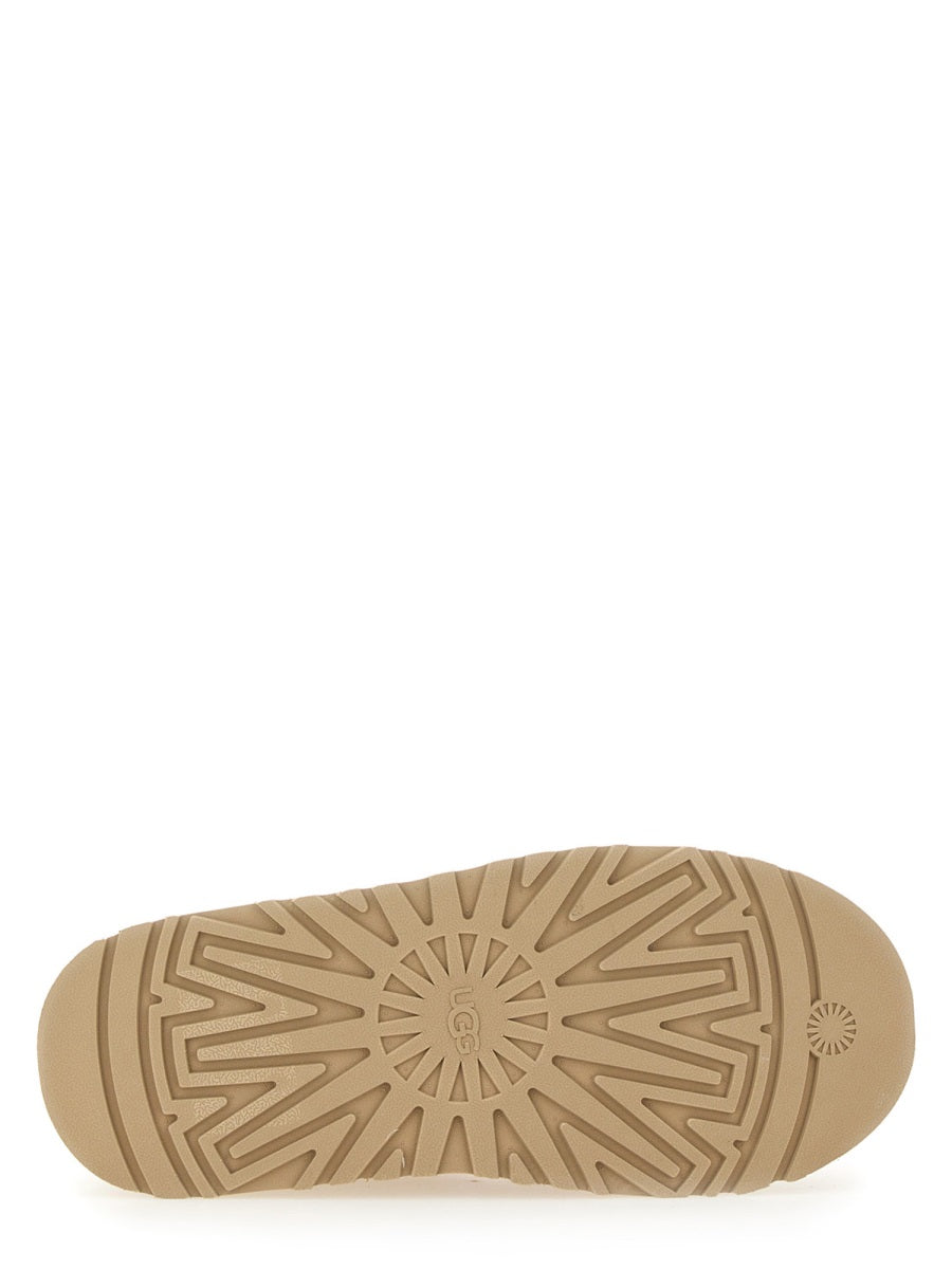 SABOT "TAZZ"