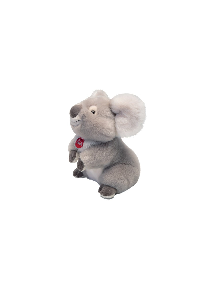 koala jamin