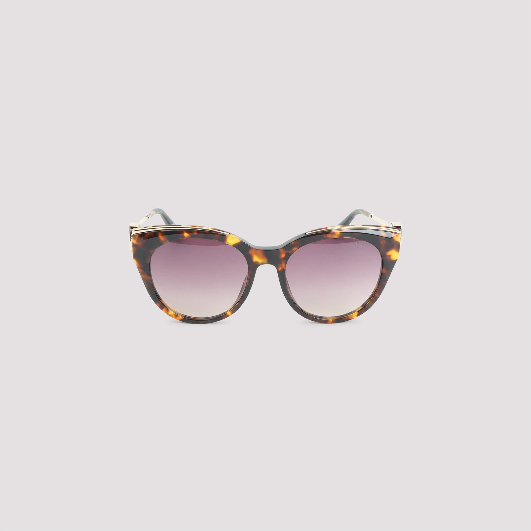 Acetate Sunglasses