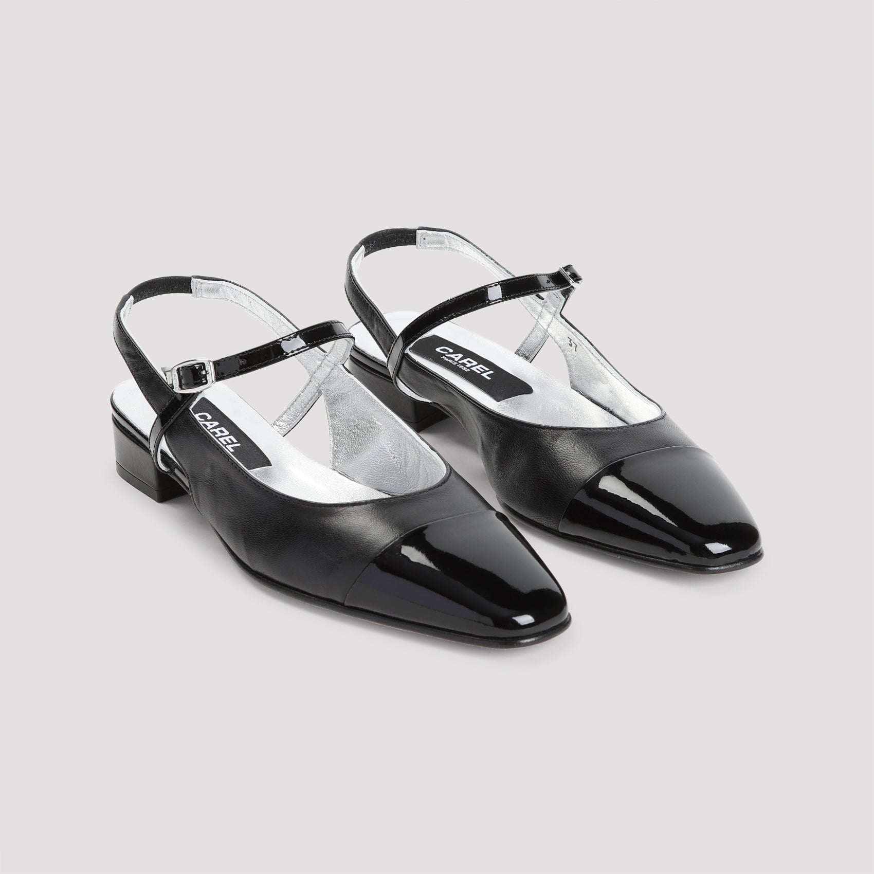 Oceano 24 Mules