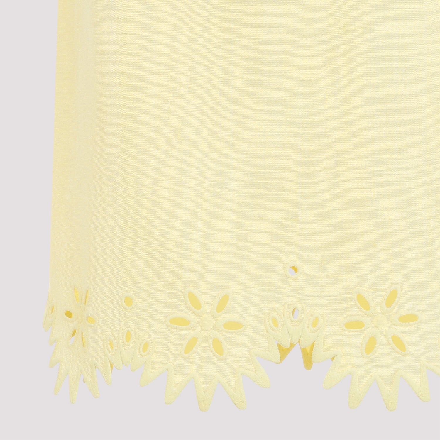 Grainy English Embroidery Midi Skirt