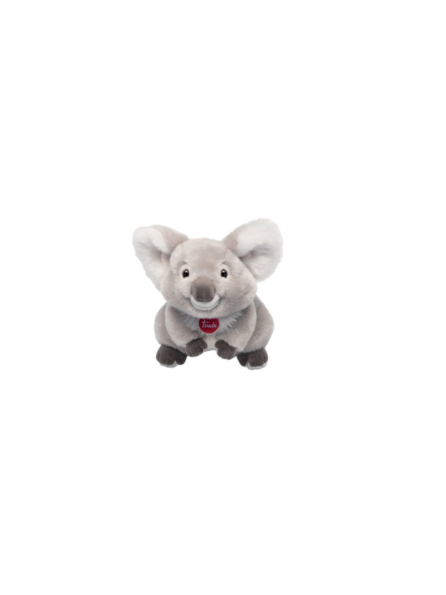 koala jamin