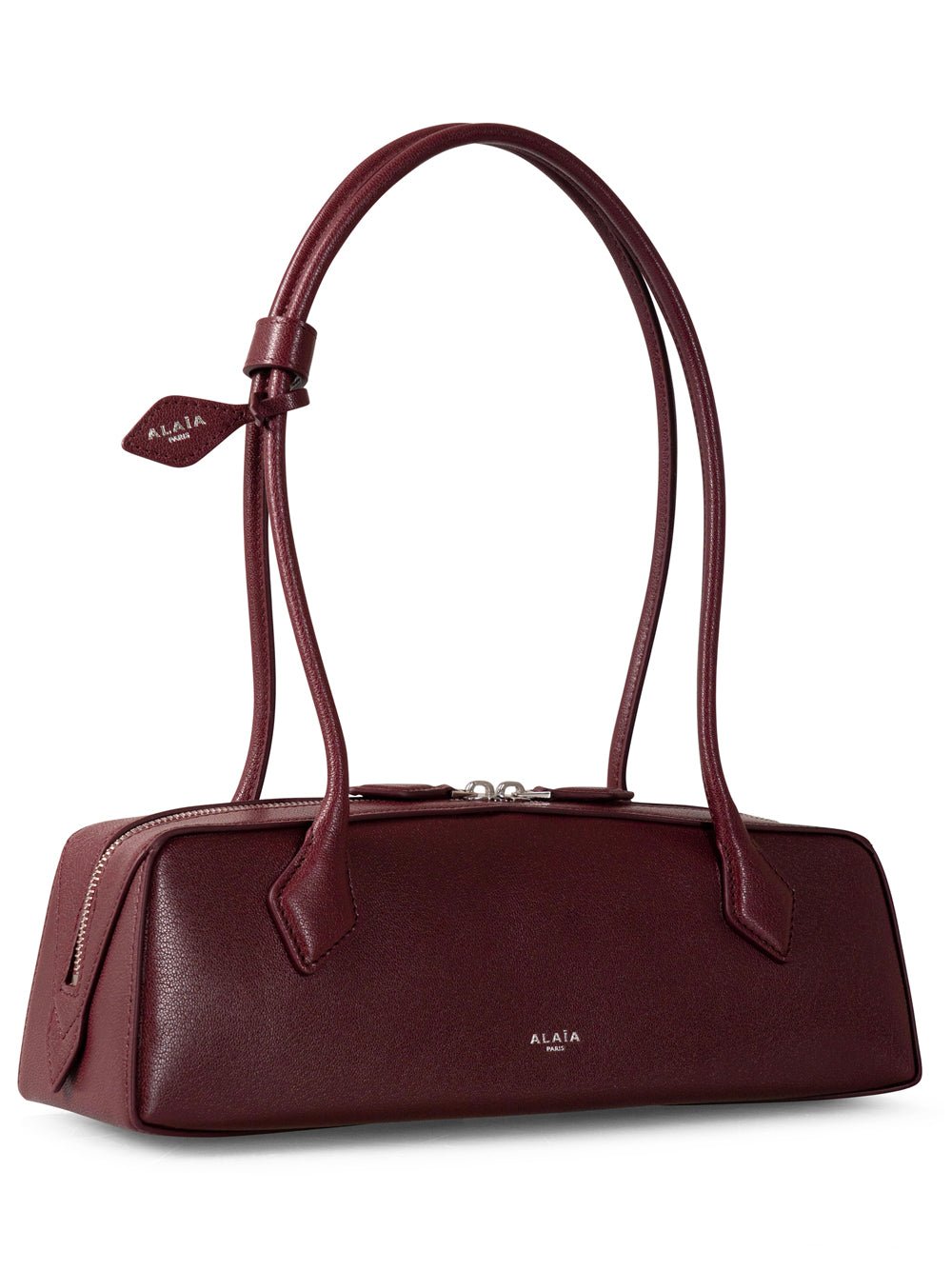 LE TECKEL MEDIUM BAG IN SHINY GOATSKIN