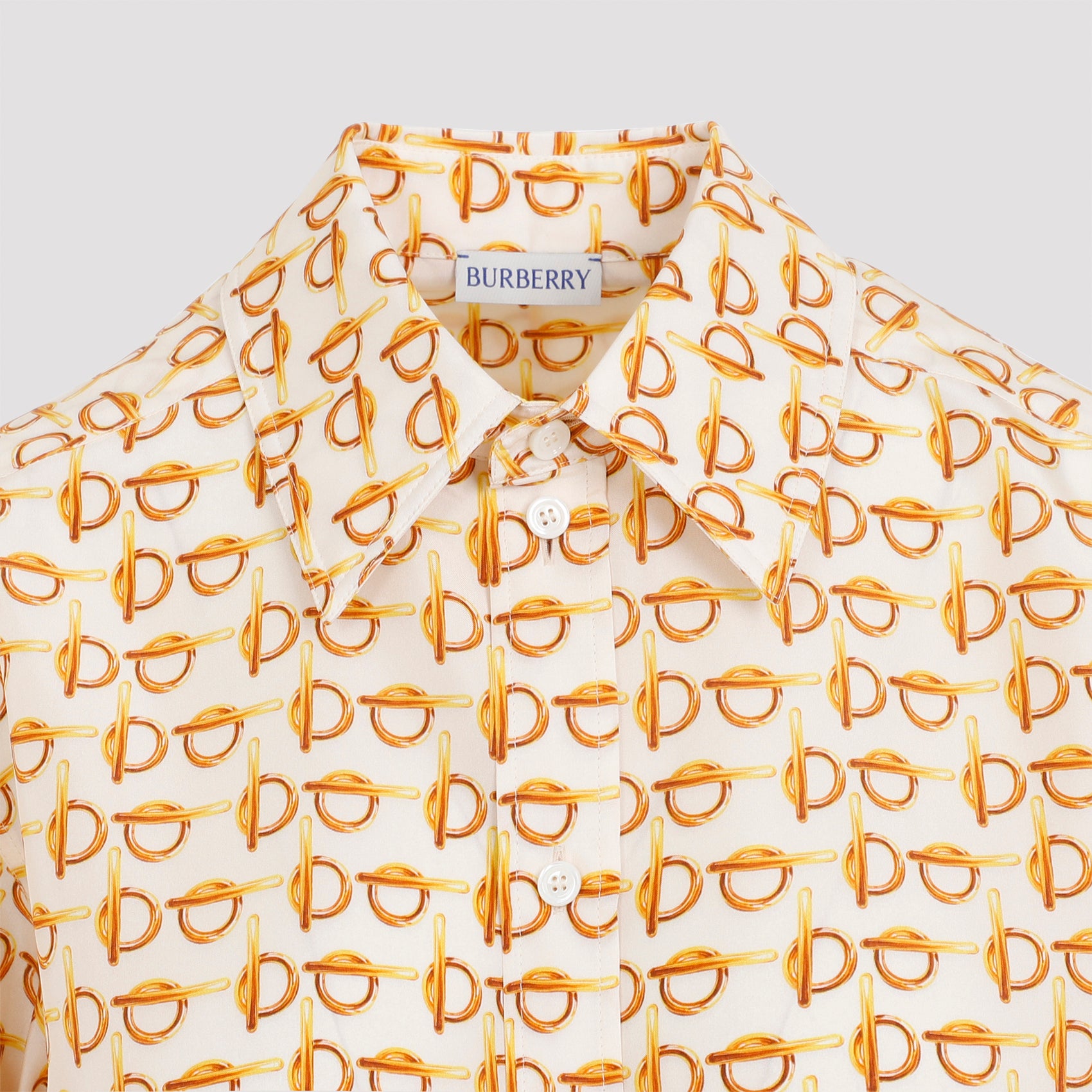 Silk Shirt