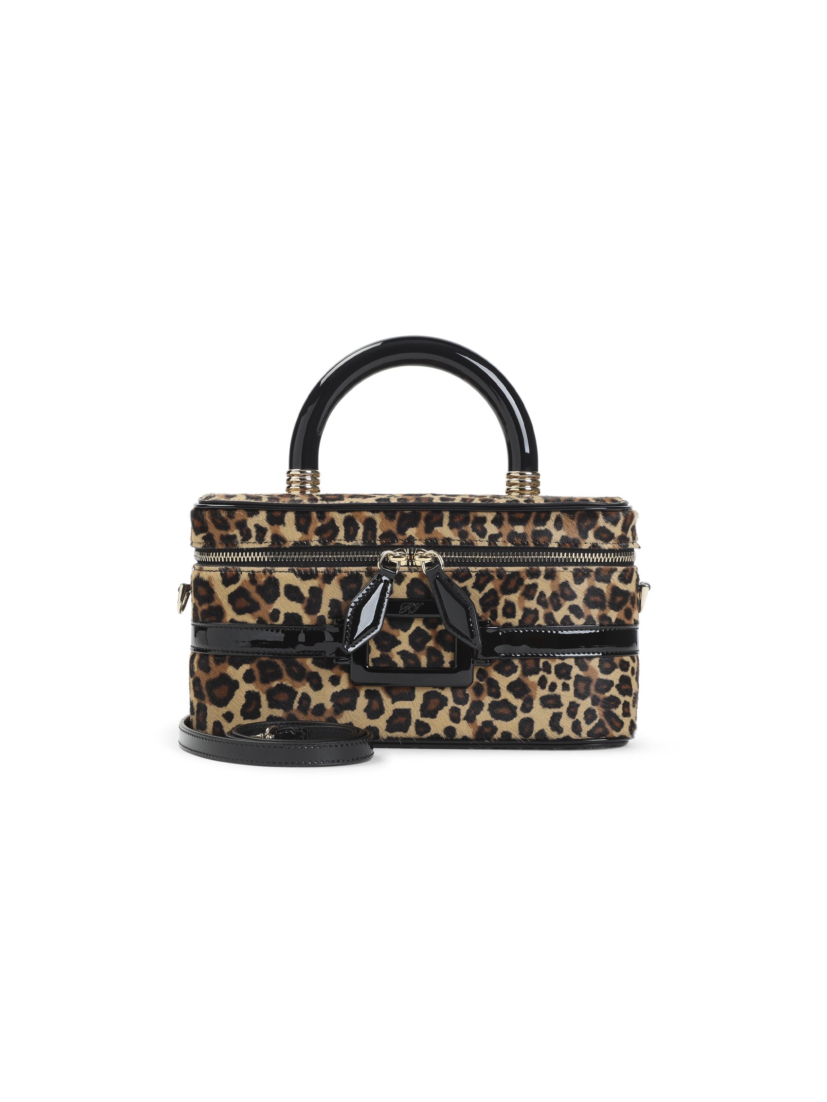 Belle Vivier Vanity Mini Bag