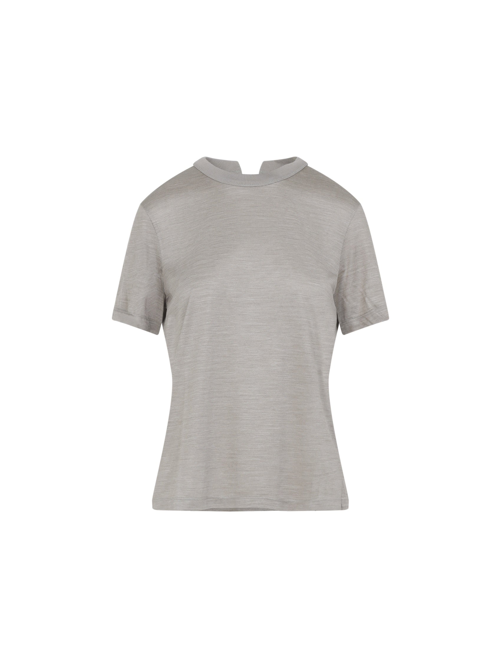 Gray Fitted T-Shirt