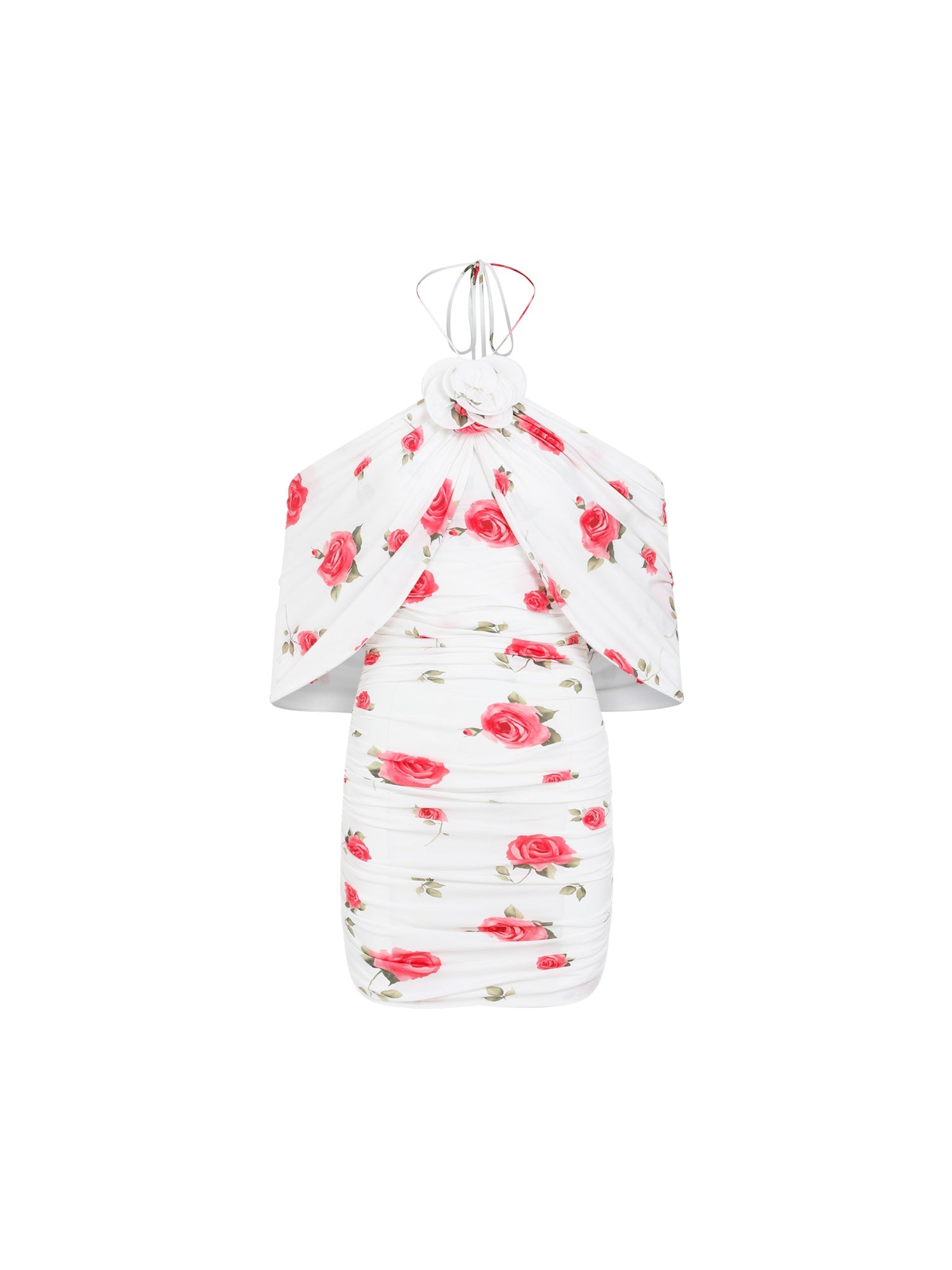 Printed Dress