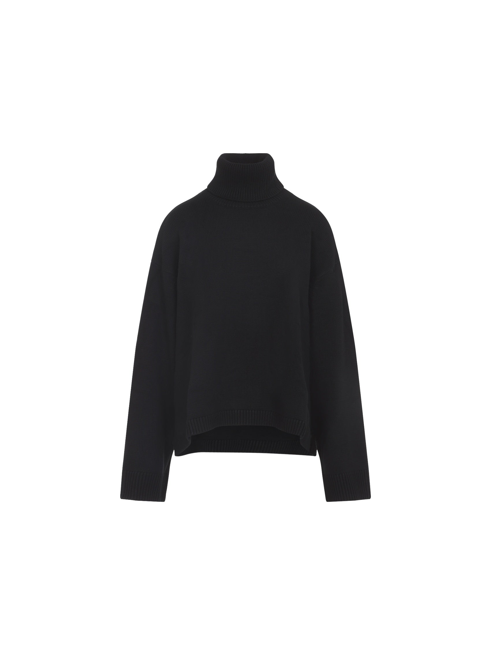 Rhea Trapeze Turtleneck Pullover